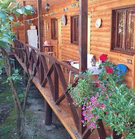 Guest House Nana Gagra Exterior photo